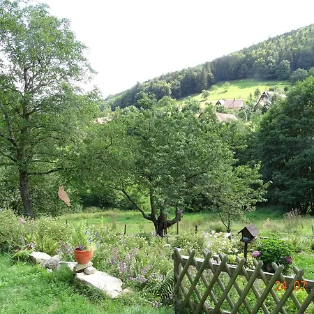 Bed & Breakfast D'hotes Sur La Montagne De L'ange Breitenbach-Haut-Rhin