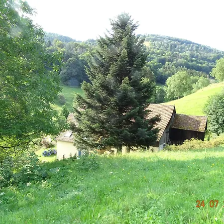 D'hotes Sur La Montagne De L'ange Bed & Breakfast Breitenbach-Haut-Rhin